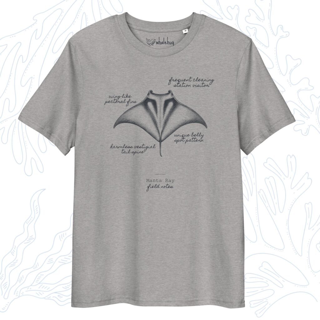 manta ray field notes t-shirt heather grey organic cotton whalehug