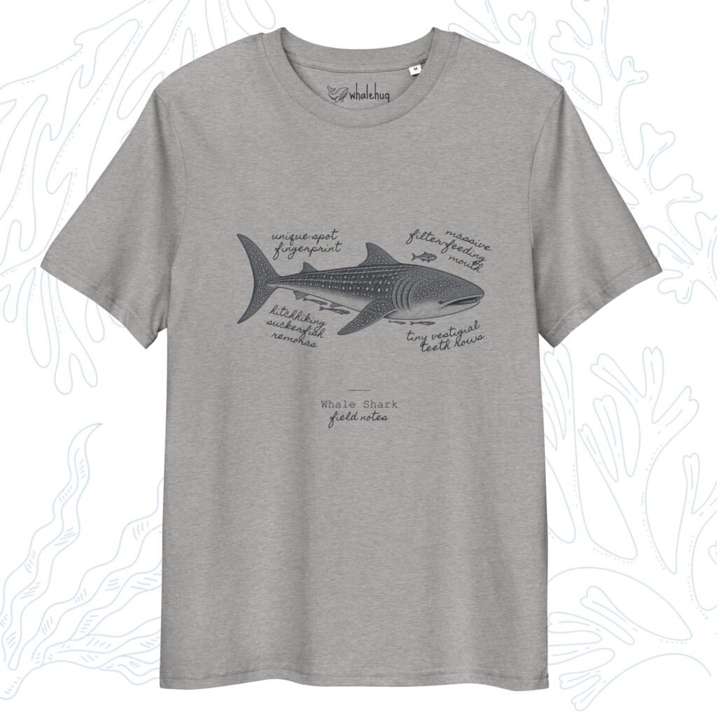 whale shark field notes t-shirt heather grey organic cotton whalehug
