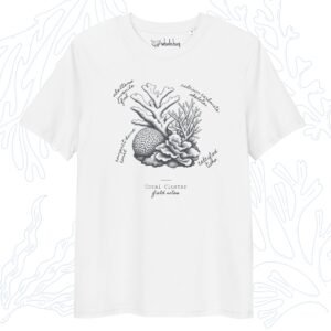 coral reef t-shirt coral cluster field notes sketch white whalehug