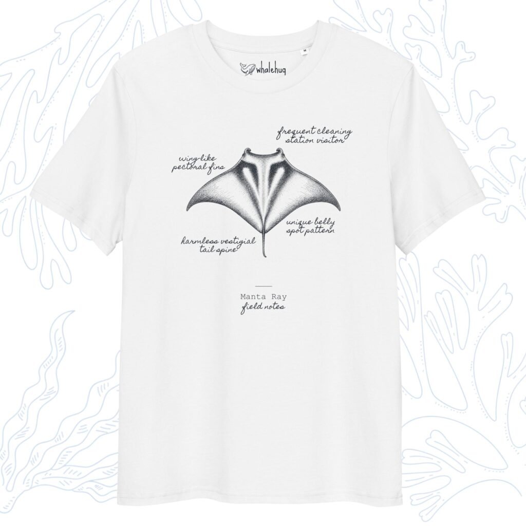 manta ray field notes t-shirt white organic cotton whalehug