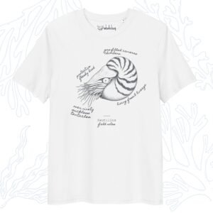 nautilus field notes t-shirt white organic cotton whalehug