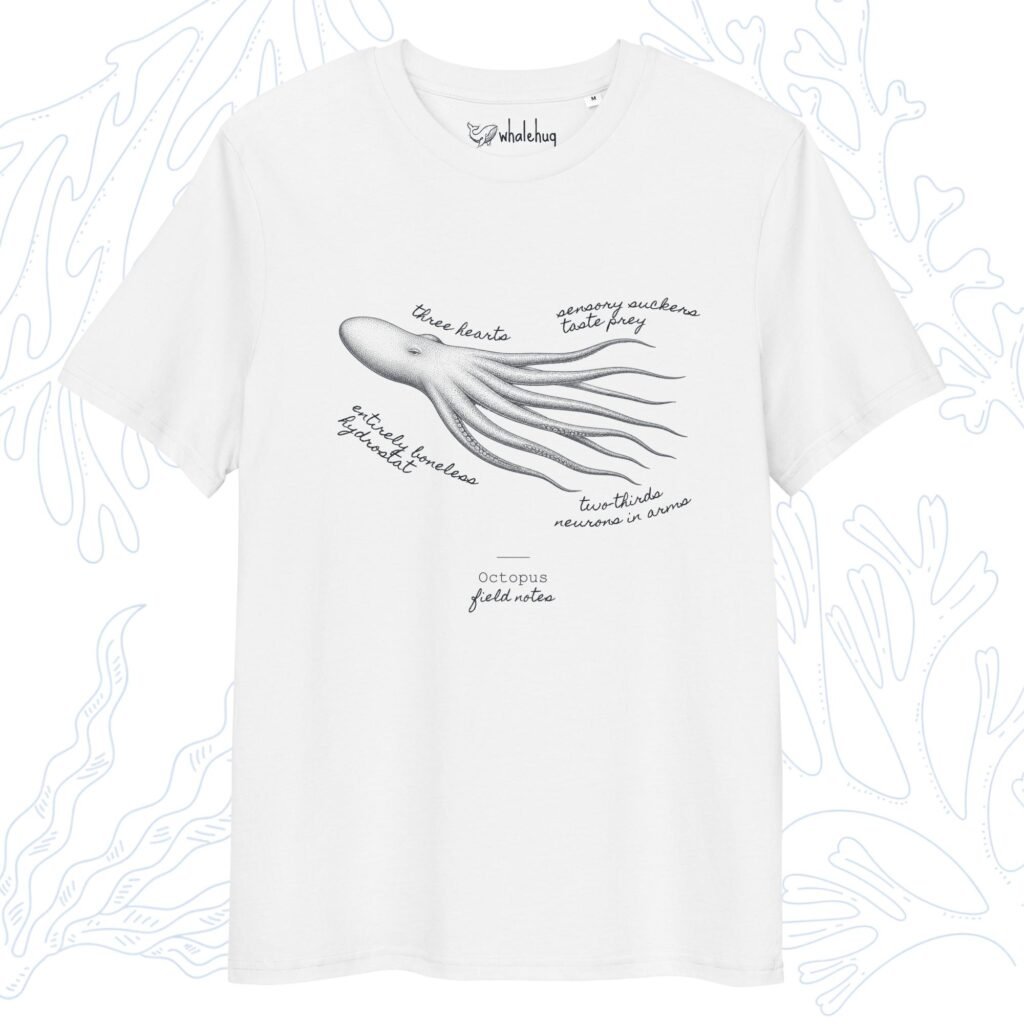 octopus field notes t-shirt white organic cotton whalehug