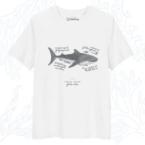 whale shark field notes t-shirt white organic cotton whalehug