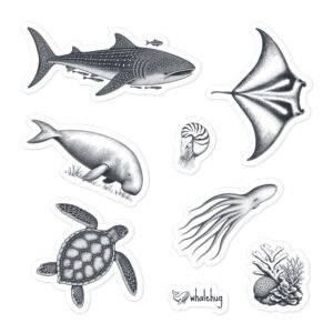 marine biology sticker sheet field notes sketches whale shark manta ray turtle whalehug