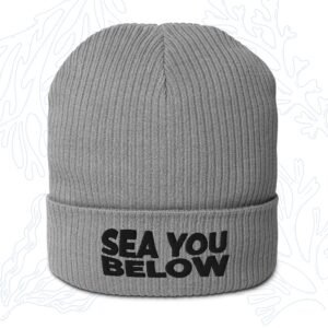 sea you below organic diver beanie in light grey with embroidered cuff whalehug