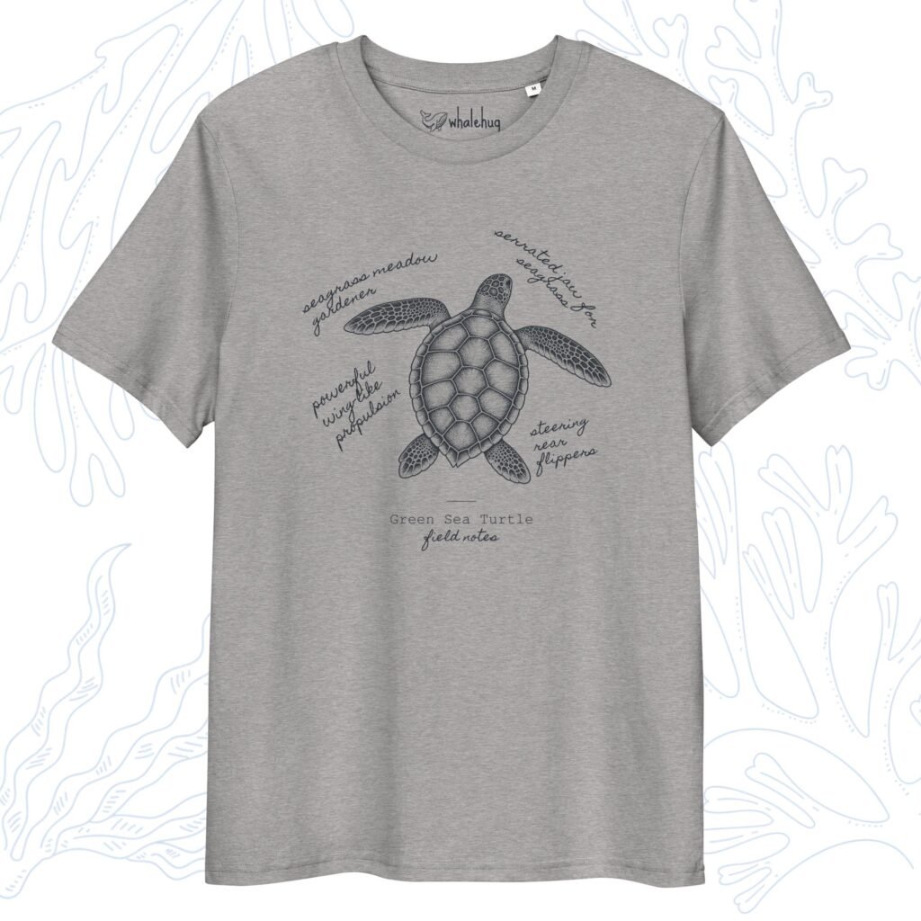 green sea turtle field notes t-shirt heather grey organic cotton whalehug